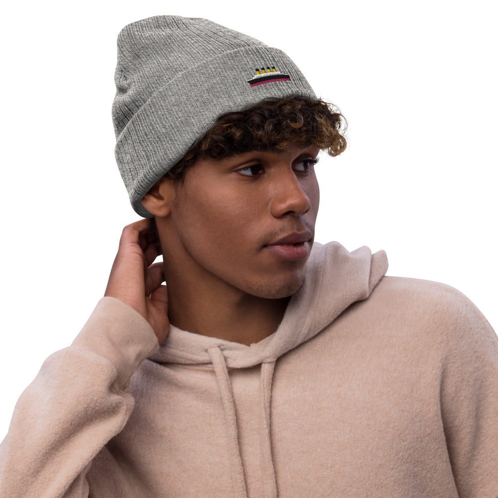 Eco-Friendly Titanic Beanie - Beanies - steam & steel store