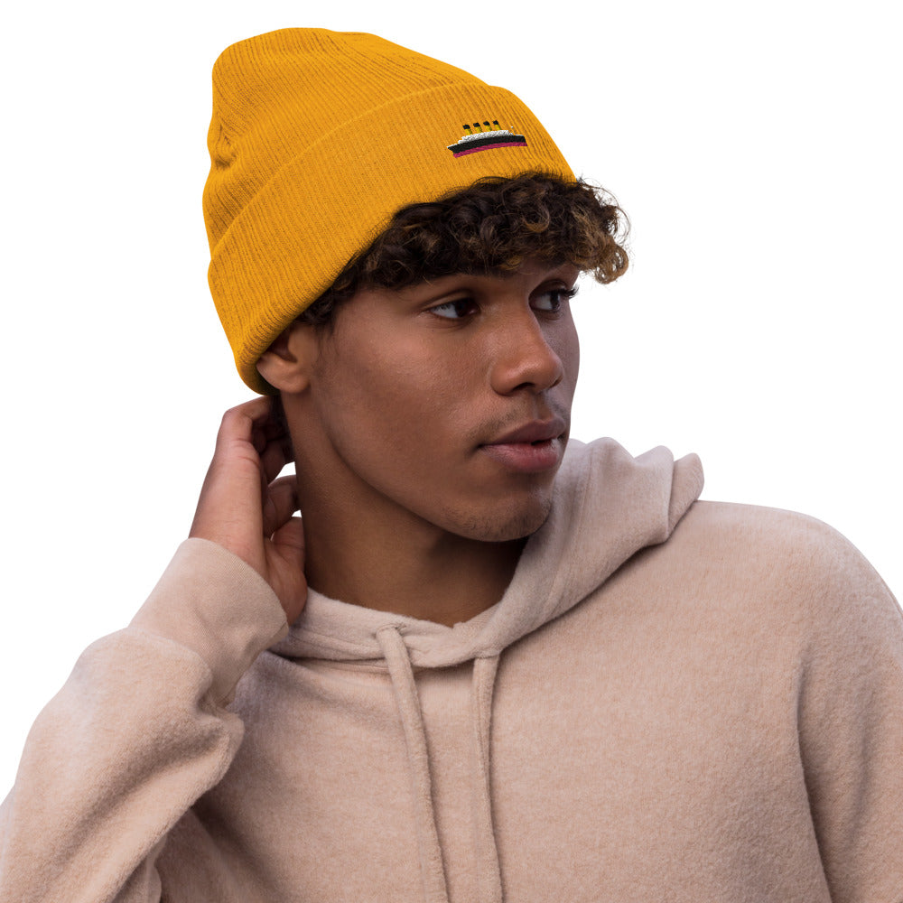 Eco-Friendly Titanic Beanie - Beanies - steam & steel store