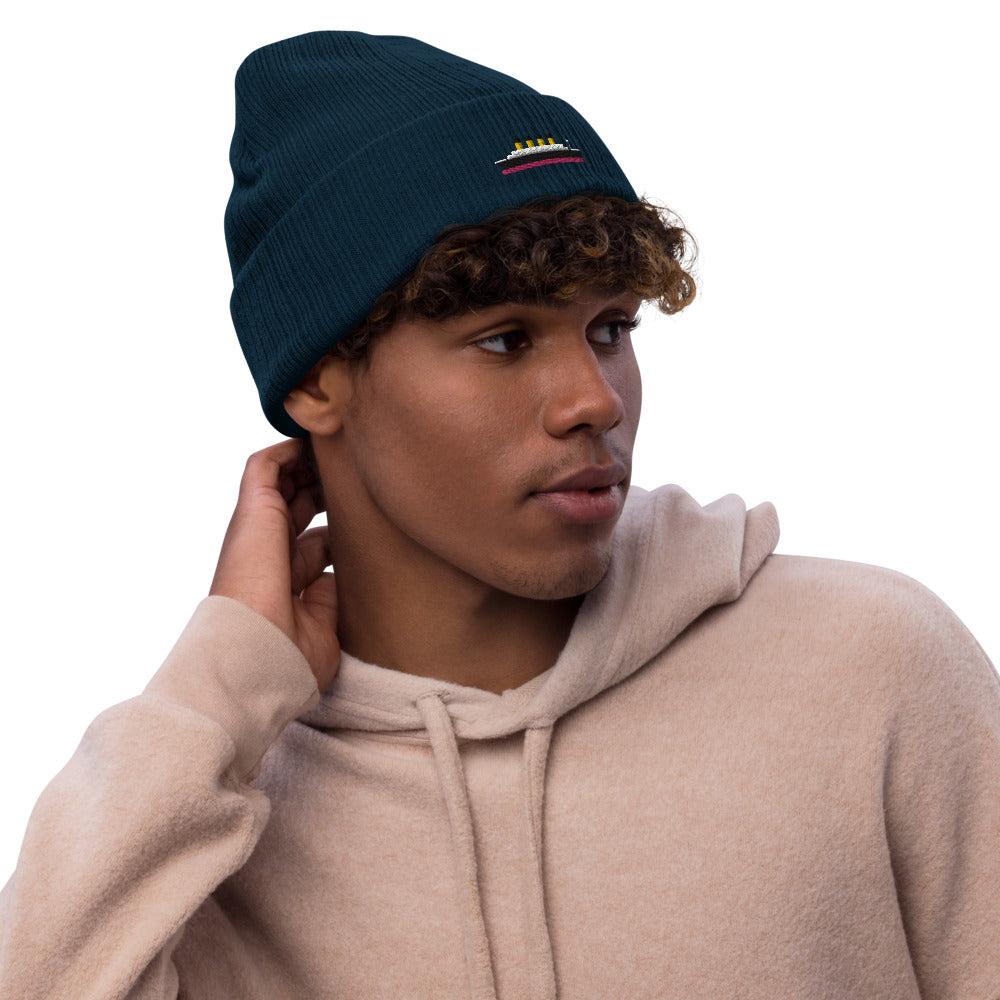 Eco-Friendly Titanic Beanie - Beanies - steam & steel store