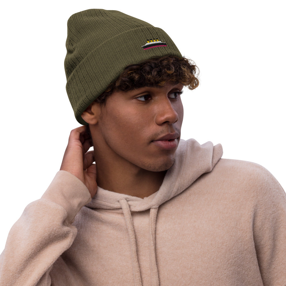 Eco-Friendly Titanic Beanie - Beanies - steam & steel store